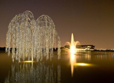 Central Park lake light up water fountain with tree at night